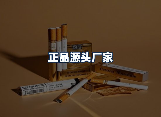 专业团队办公环境